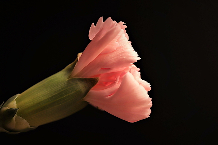f:id:raruka:20190920152928j:plain:w330:h220 f:id:raruka:20190920152928j:plain:w330:h220