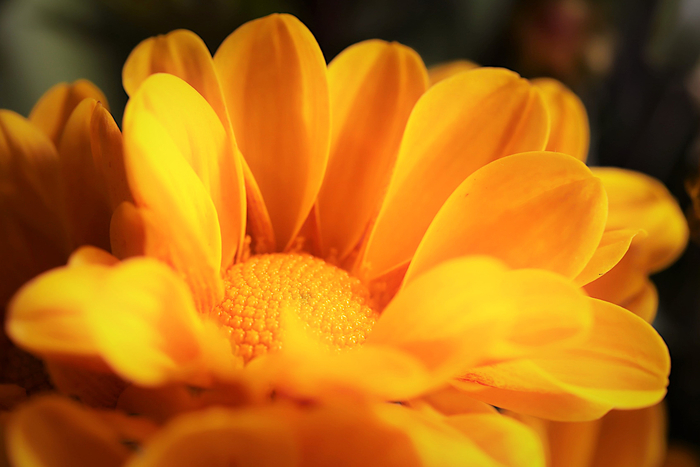 f:id:raruka:20190922151846j:plain:w330:h220 f:id:raruka:20190922151846j:plain:w330:h220