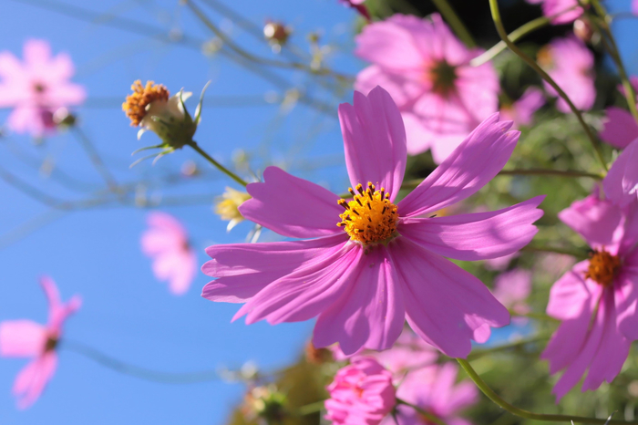 f:id:raruka:20190925151751j:plain f:id:raruka:20190925151751j:plain