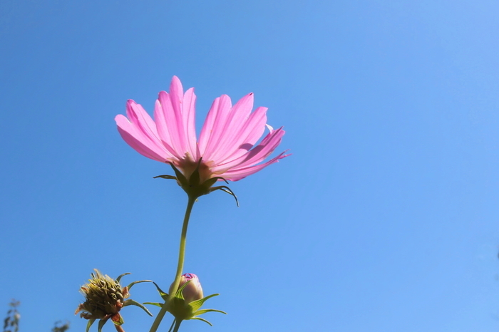 f:id:raruka:20190926153720j:plain f:id:raruka:20190926153720j:plain