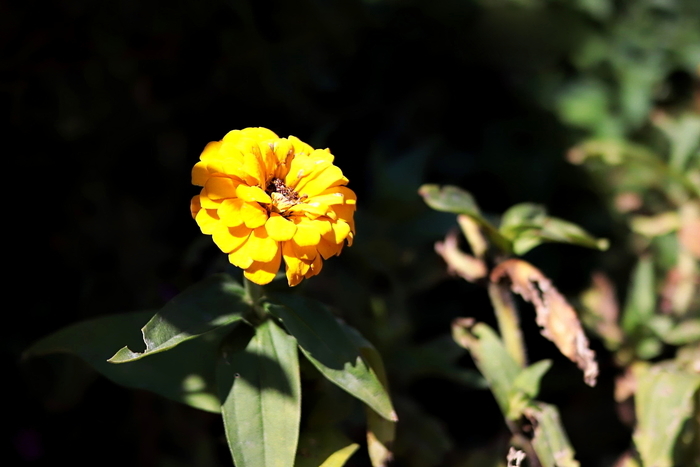 f:id:raruka:20190926153738j:plain:w330:h220 f:id:raruka:20190926153738j:plain:w330:h220