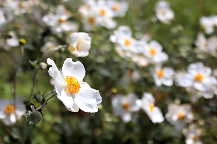 f:id:raruka:20190927151707j:plain f:id:raruka:20190927151707j:plain