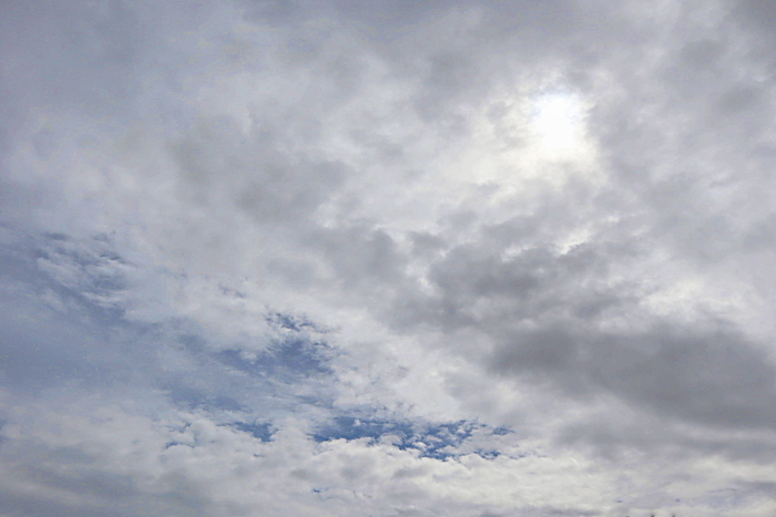 f:id:raruka:20190928152752j:plain:w330:h220 f:id:raruka:20190928152752j:plain:w330:h220