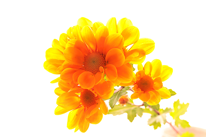 f:id:raruka:20191001151405j:plain:w330:h220 f:id:raruka:20191001151405j:plain:w330:h220
