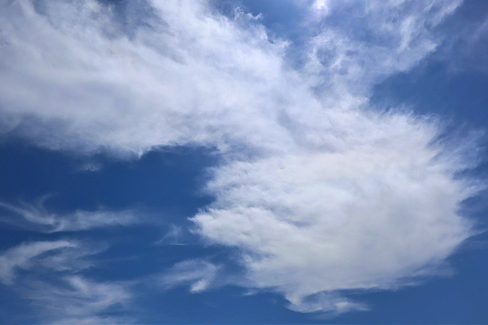 f:id:raruka:20191005134629j:plain:w330:h220 f:id:raruka:20191005134629j:plain:w330:h220