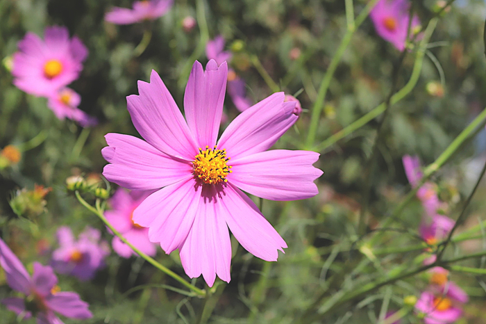 f:id:raruka:20191005134656j:plain f:id:raruka:20191005134656j:plain