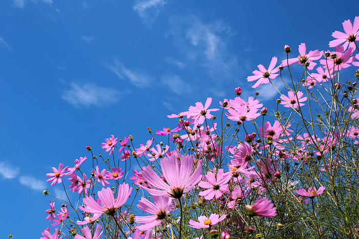 f:id:raruka:20191005134713j:plain:w330:h220 f:id:raruka:20191005134713j:plain:w330:h220
