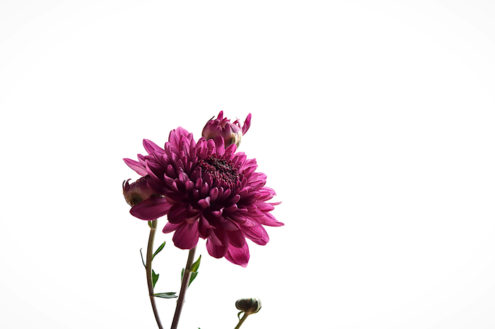 f:id:raruka:20191006134827j:plain:w330:h220 f:id:raruka:20191006134827j:plain:w330:h220