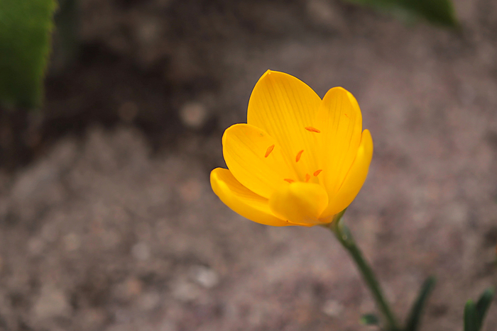 f:id:raruka:20191007145632j:plain f:id:raruka:20191007145632j:plain
