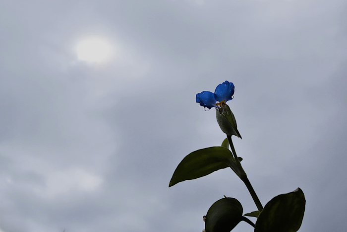 f:id:raruka:20191014133705j:plain:w330:h220 f:id:raruka:20191014133705j:plain:w330:h220