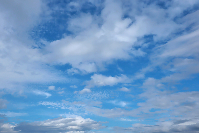 f:id:raruka:20191017152034j:plain:w330:h220 f:id:raruka:20191017152034j:plain:w330:h220