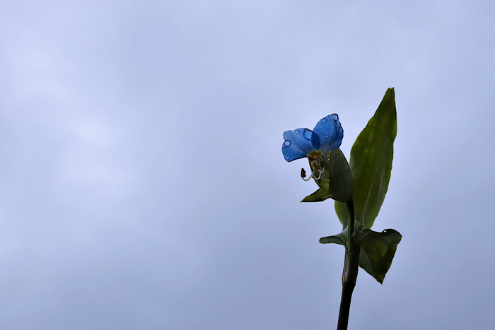 f:id:raruka:20191018140028j:plain:w330:h220 f:id:raruka:20191018140028j:plain:w330:h220