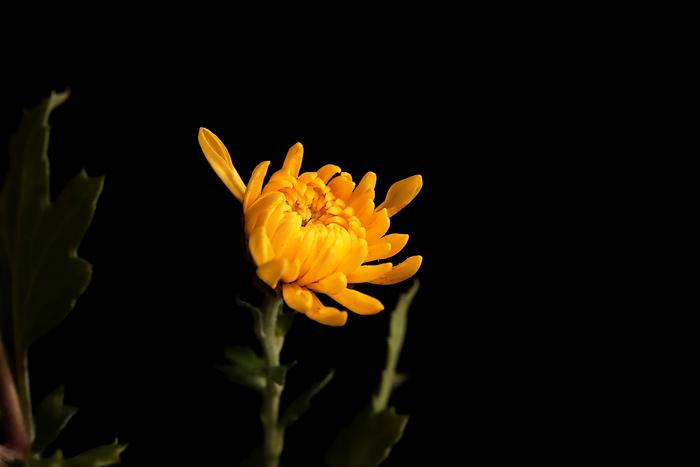 f:id:raruka:20191018140106j:plain:w330:h220 f:id:raruka:20191018140106j:plain:w330:h220