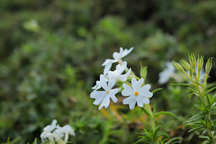 f:id:raruka:20191020135947j:plain f:id:raruka:20191020135947j:plain