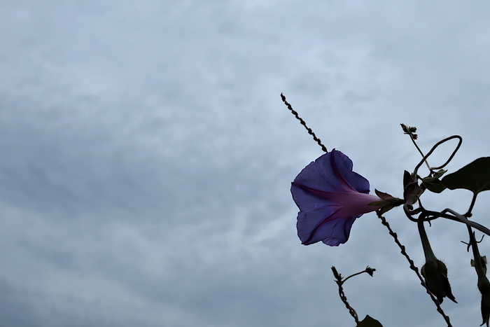 f:id:raruka:20191021133441j:plain:w330:h220 f:id:raruka:20191021133441j:plain:w330:h220