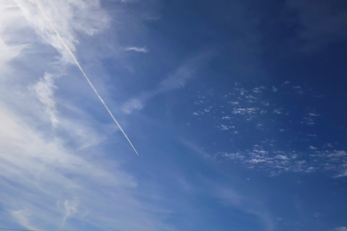 f:id:raruka:20191023150145j:plain:w330:h220 f:id:raruka:20191023150145j:plain:w330:h220