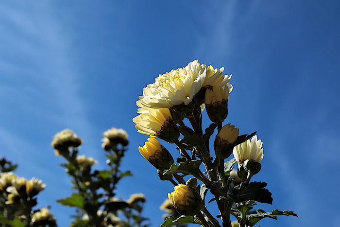 f:id:raruka:20191023150218j:plain f:id:raruka:20191023150218j:plain