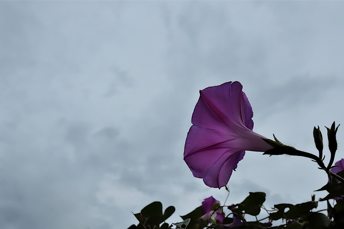 f:id:raruka:20191024143930j:plain:w210:h140 f:id:raruka:20191024143930j:plain:w210:h140