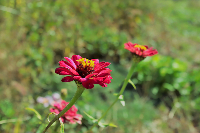 f:id:raruka:20191027135056j:plain f:id:raruka:20191027135056j:plain