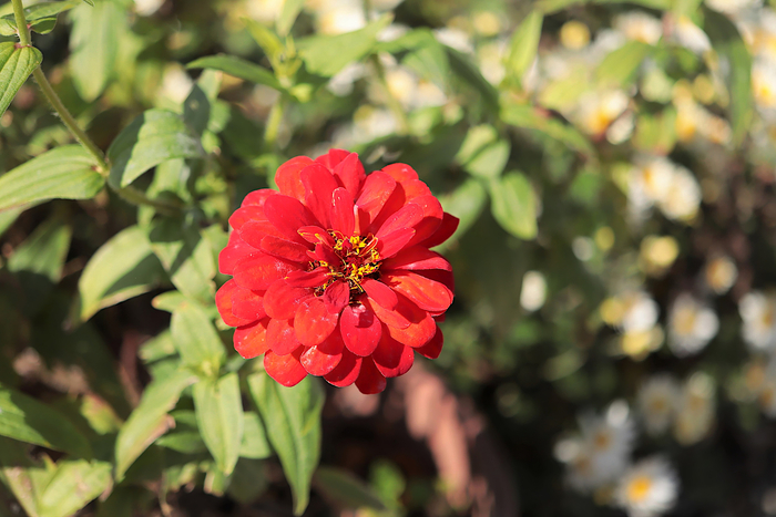 f:id:raruka:20191030143356j:plain:w210:h140 f:id:raruka:20191030143356j:plain:w210:h140