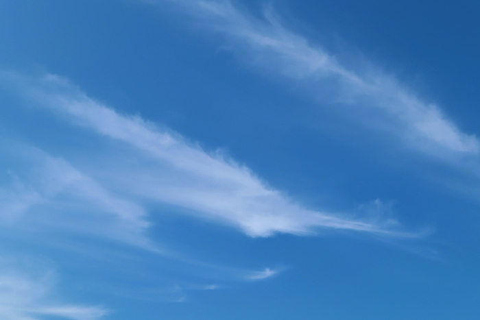 f:id:raruka:20191031145530j:plain:w330:h220 f:id:raruka:20191031145530j:plain:w330:h220