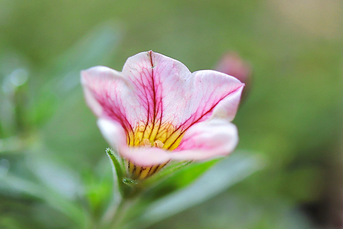 f:id:raruka:20191103131857j:plain f:id:raruka:20191103131857j:plain