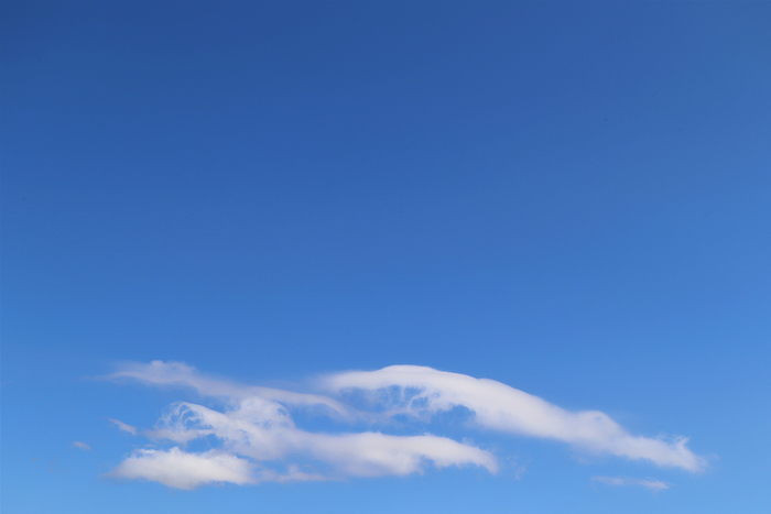 f:id:raruka:20191108134831j:plain:w330:h220 f:id:raruka:20191108134831j:plain:w330:h220