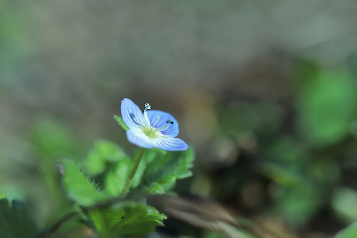 f:id:raruka:20191113150107j:plain:w330:h220 f:id:raruka:20191113150107j:plain:w330:h220