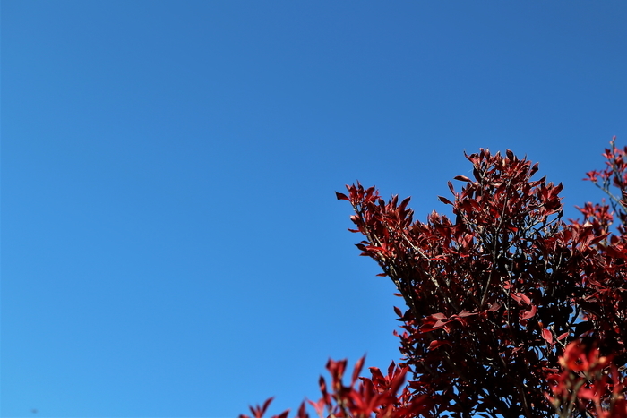 f:id:raruka:20191130132423j:plain:w330:h220 f:id:raruka:20191130132423j:plain:w330:h220