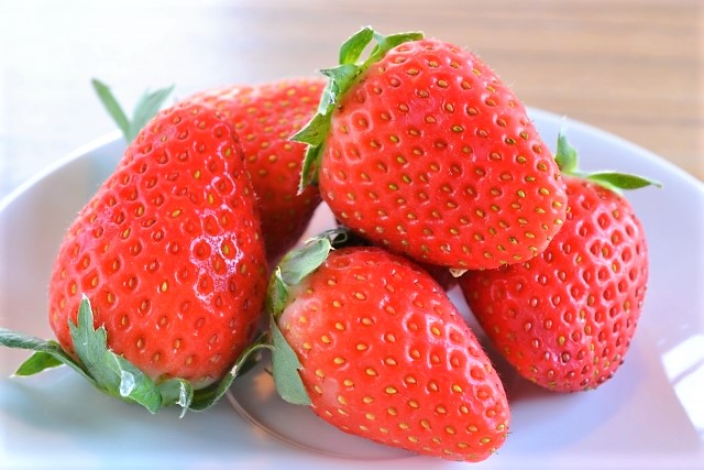 f:id:raruka:20191208170152j:plain:w330:h220 f:id:raruka:20191208170152j:plain:w330:h220