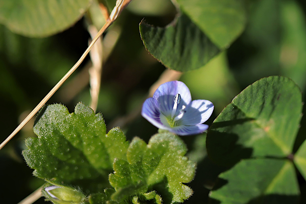 f:id:raruka:20191209150928j:plain f:id:raruka:20191209150928j:plain