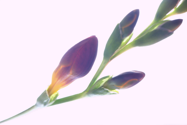f:id:raruka:20191217151102j:plain:w330:h220 f:id:raruka:20191217151102j:plain:w330:h220