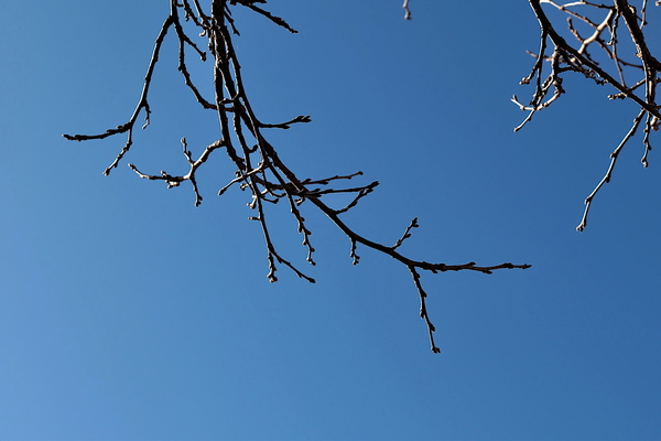 f:id:raruka:20191225141057j:plain:w330:h220 f:id:raruka:20191225141057j:plain:w330:h220