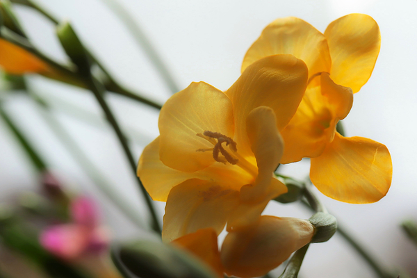 f:id:raruka:20191226144412j:plain:w330:h220 f:id:raruka:20191226144412j:plain:w330:h220