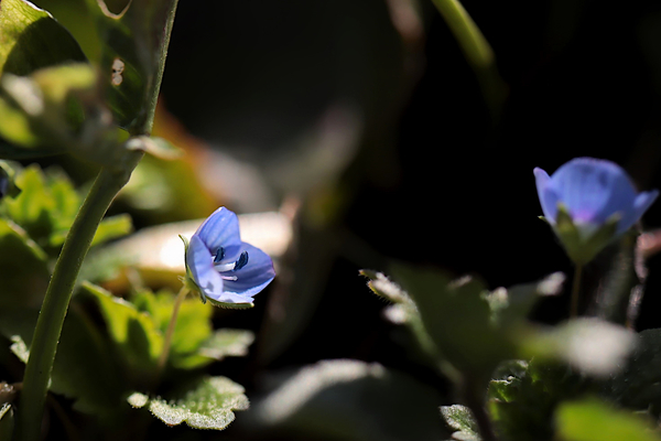f:id:raruka:20191227135545j:plain:w330:h220 f:id:raruka:20191227135545j:plain:w330:h220