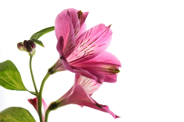 f:id:raruka:20200115151315j:plain:w330:h220 f:id:raruka:20200115151315j:plain:w330:h220