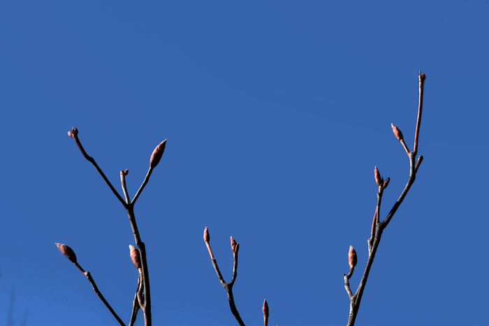 青空