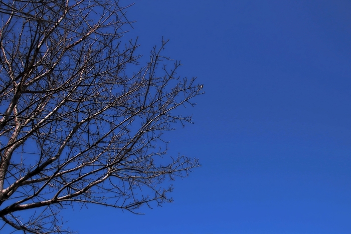 2020年2月11日の空 2020年2月11日の空