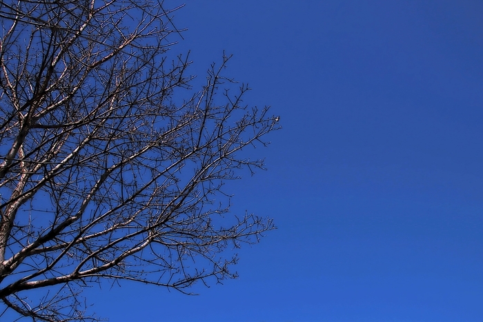 2020年2月11日の空