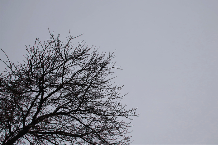 2020年2月14日の空 2020年2月14日の空