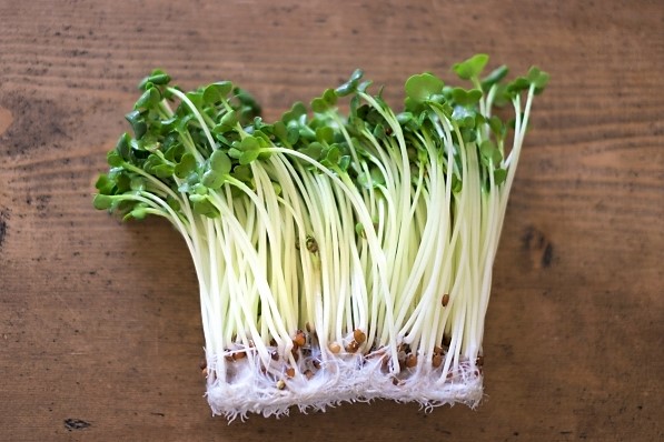 カイワレ大根の辛味 カイワレ大根の辛味