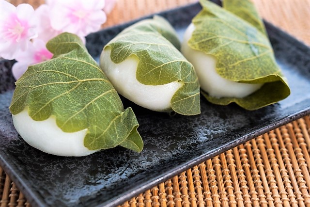柏餅の葉 柏餅の葉