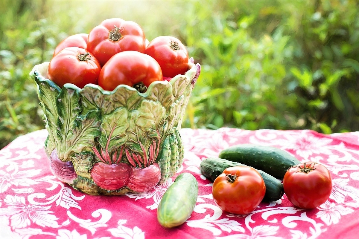 夏野菜 夏野菜
