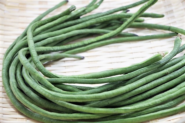 大角豆(ささげ) 大角豆(ささげ)
