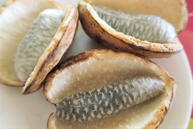 アケビの食べ方 アケビの食べ方