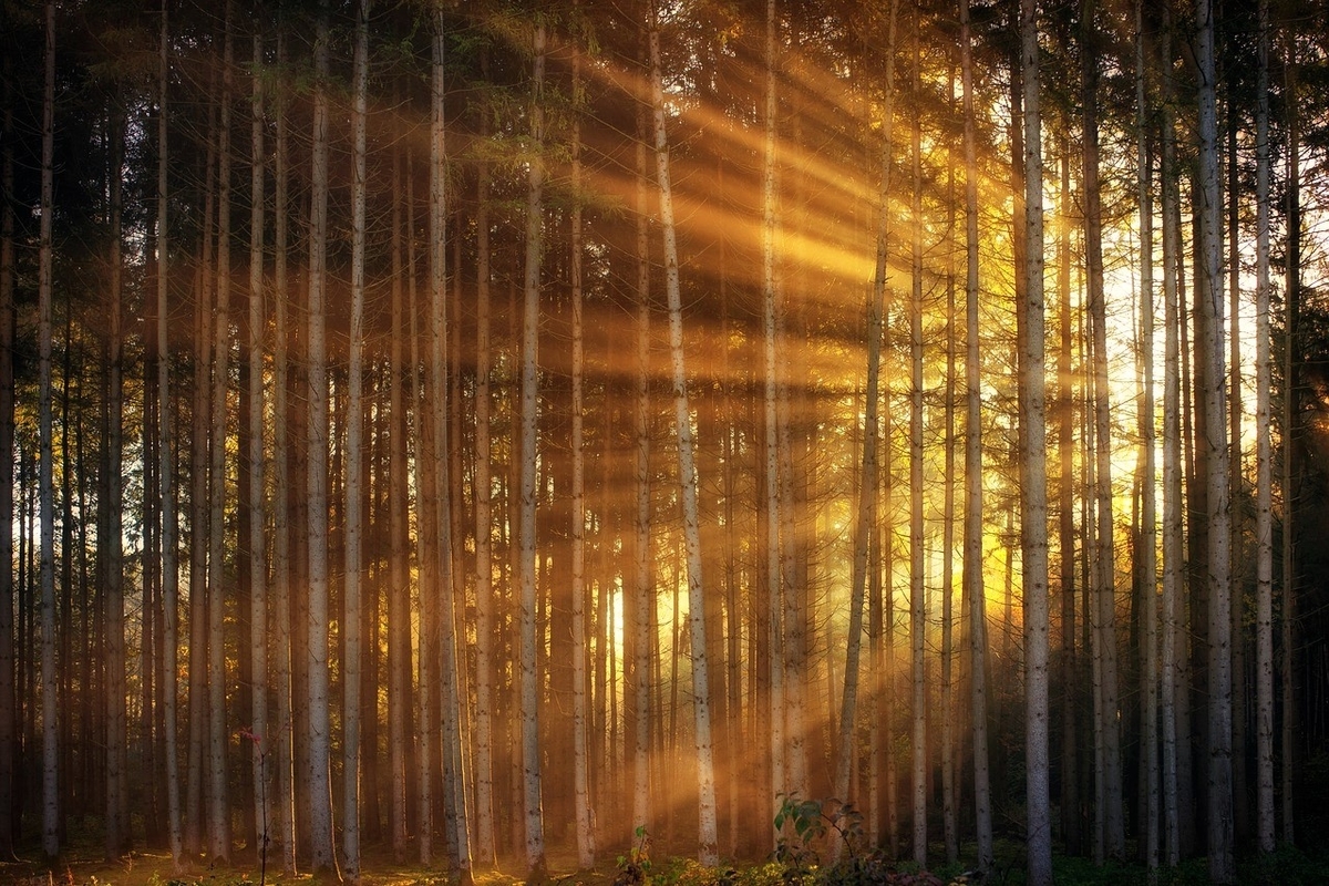 秋の山 秋の山