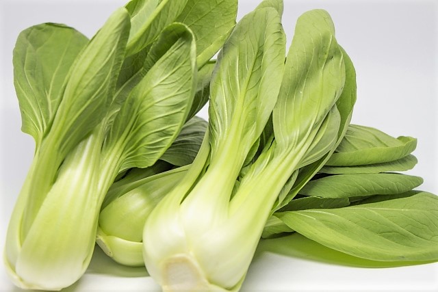 チンゲン菜 チンゲン菜