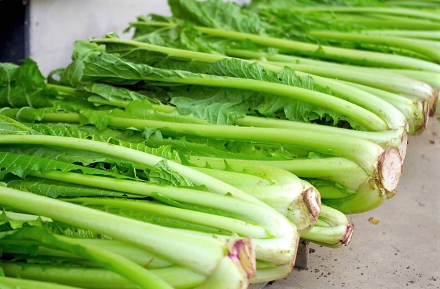 野沢菜 野沢菜