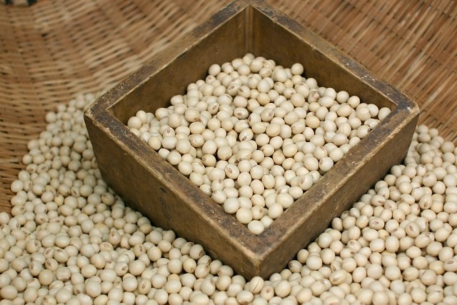 大豆 大豆