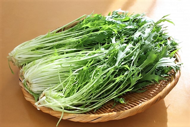 水菜 水菜